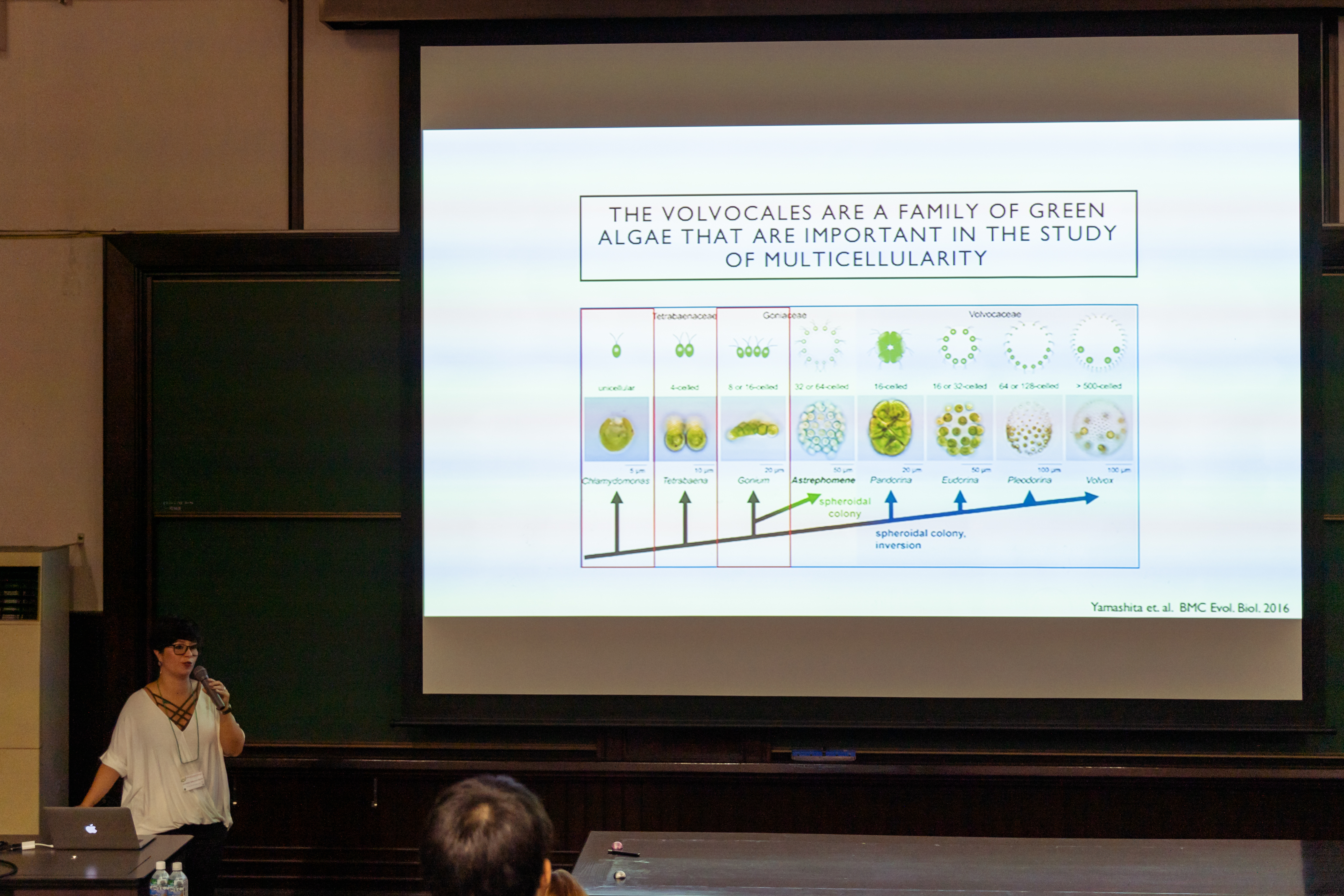 2019-07-28 Berenice presents at Volvox 2019 Tokyo Japan.jpg